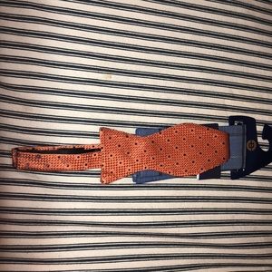 Orange with blue Polkadot bow tie.